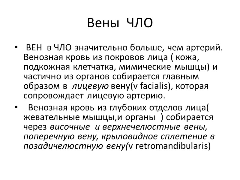 Вены  ЧЛО  ВЕН  в ЧЛО значительно больше, чем артерий. Венозная кровь
